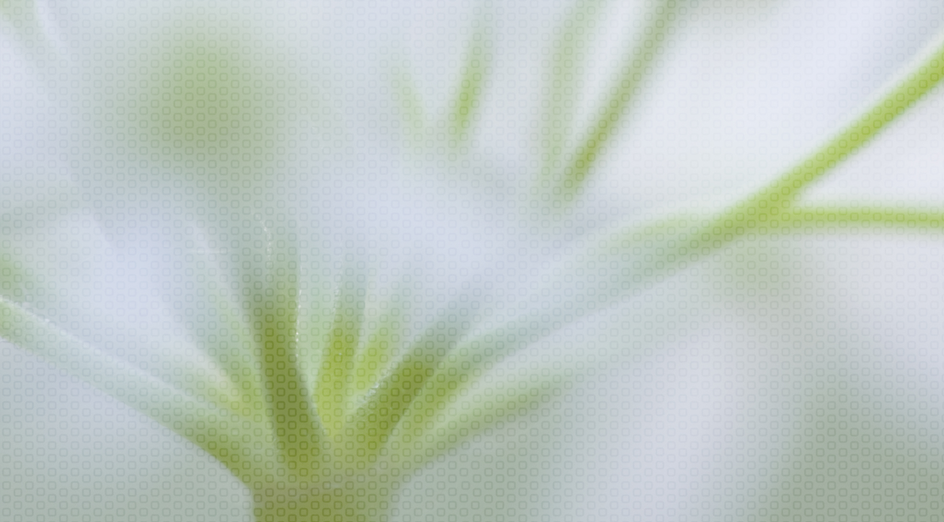 Lightcatchers - Die Fotografen in Ingolstadt background image