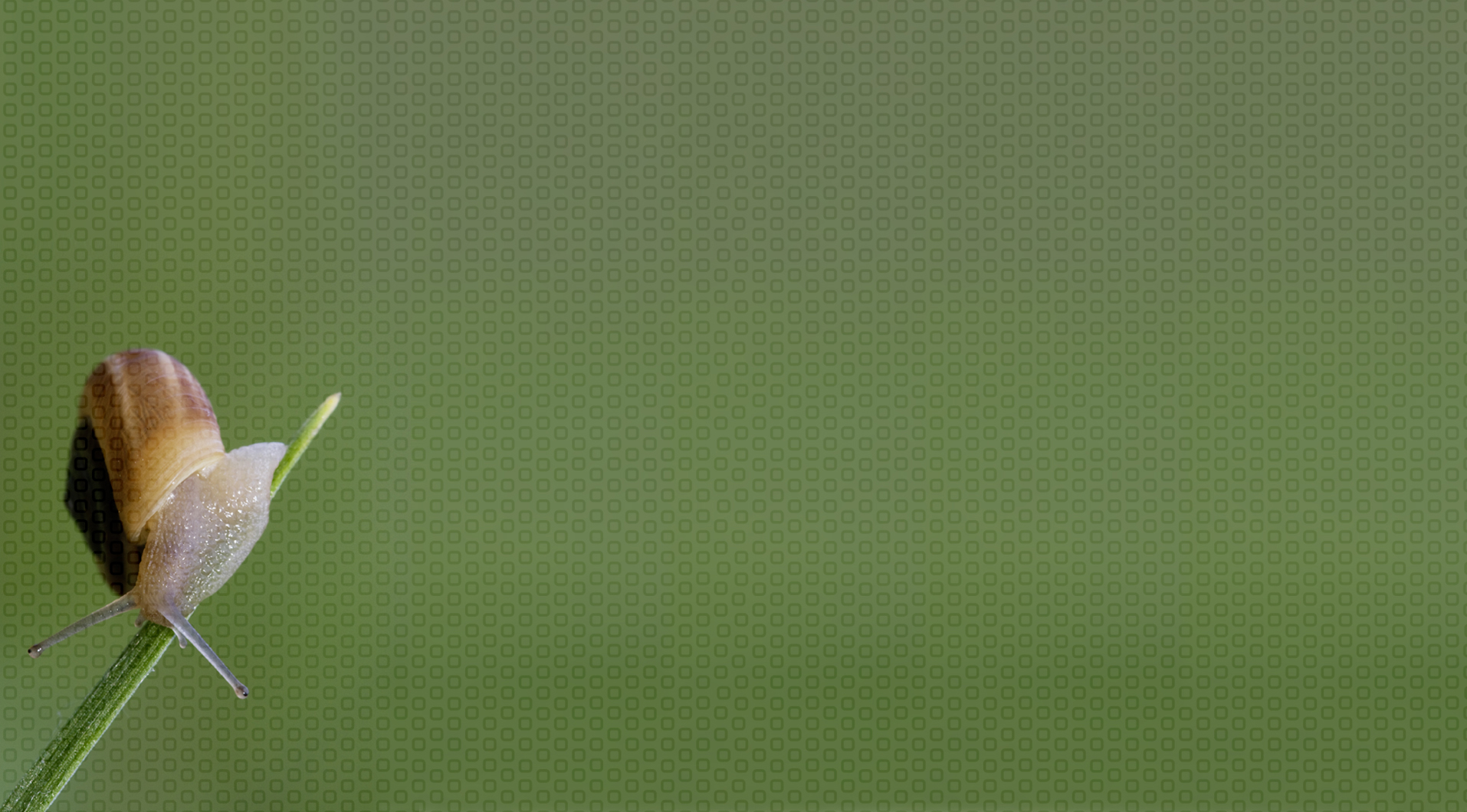 Lightcatchers - Die Fotografen in Ingolstadt background image