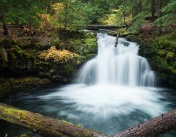 Wasserfall Fels Berg Stein Stamm