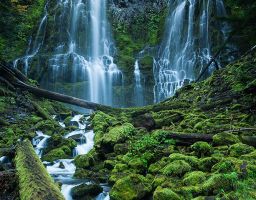 Wasserfall Fels Berg Stein Moos