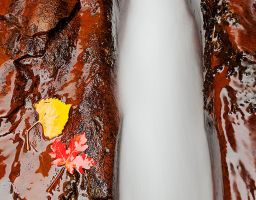 Sandstein Felsspalte Wasserrinne Bach Subway