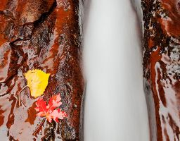 Sandstein Felsspalte Wasserrinne Bach Subway