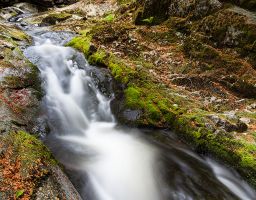 Steinklamm Bach Fluss Bayrischer Wald