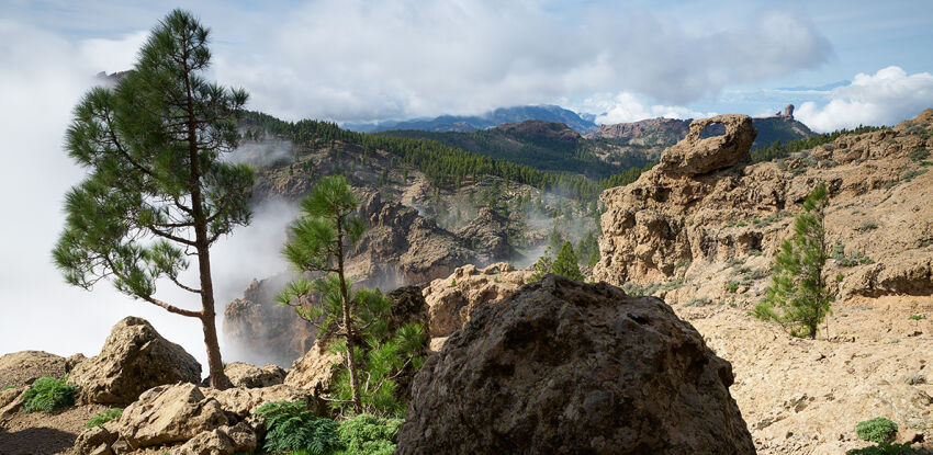 Gran Canaria