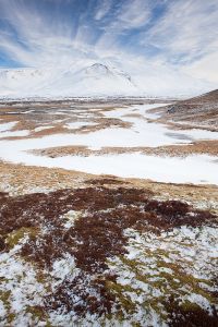 Himmel Wolken Moose Flechten Schnee Berg