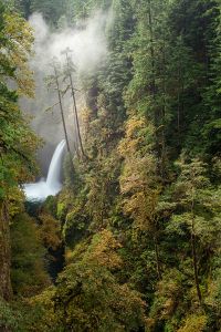 Wasserfall Wald Gischt Schlucht