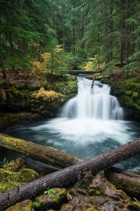 Wasserfall Fels Berg Stein Stamm
