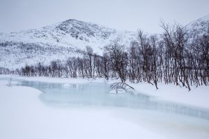 Berg Schnee Winter Baum See