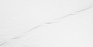 Tau Tropfen Spinnennetz Wasser