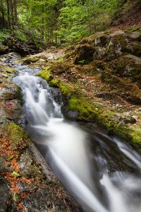 Steinklamm Bach Fluss Bayrischer Wald