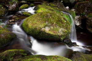 Steinklamm Bach Fluss Bayrischer Wald