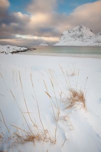 Gras Meer Strand Winter