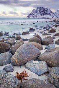 Steine Seegras Strand Meer